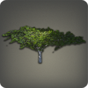 IENECO